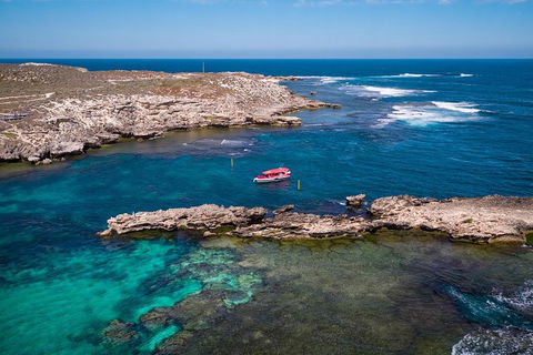 Adventure Rottnest Tour With Ferry & Adventure Cruise From Perth Or Fremantle - Coogee Beach Accommodation 3