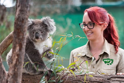 Small-Group Phillip Island Penguin Parade Day Tour From Melbourne - Coogee Beach Accommodation 0