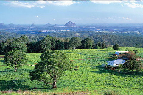 Full Day Sunshine Coast Hinterland Luxury Small Group Tour From Brisbane - Coogee Beach Accommodation 2