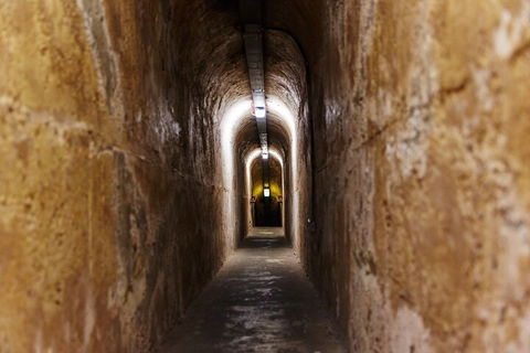 Rottnest Island Historical Train And Tunnel Tour From Hillarys Boat Harbour - Coogee Beach Accommodation 1