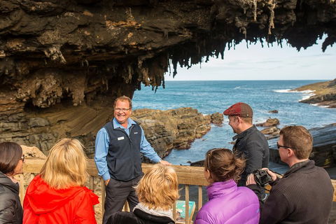 Kangaroo Island In A Day Tour From Adelaide - Coogee Beach Accommodation 3