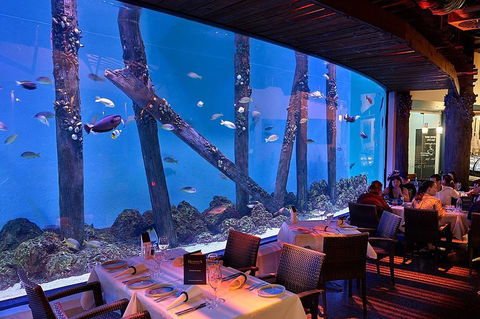 Cairns Aquarium And Small Group City Sightseeing Tour - Coogee Beach Accommodation 4
