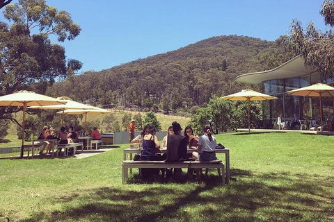 Yarra Valley Wine And Cider Tours By Classic Convertibles From Melbourne - Coogee Beach Accommodation 0