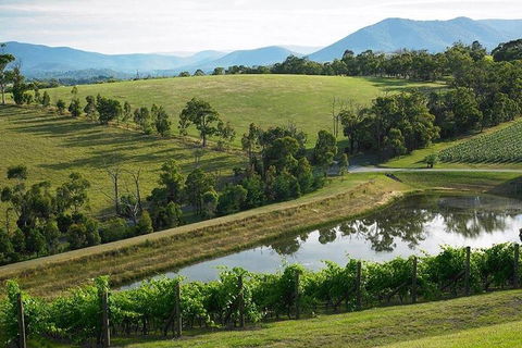 Yarra Valley Wine And Cider Tours By Classic Convertibles From Melbourne - Coogee Beach Accommodation 1