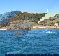 Kayaking with Dolphins in Byron Bay Guided Tour - Coogee Beach Accommodation