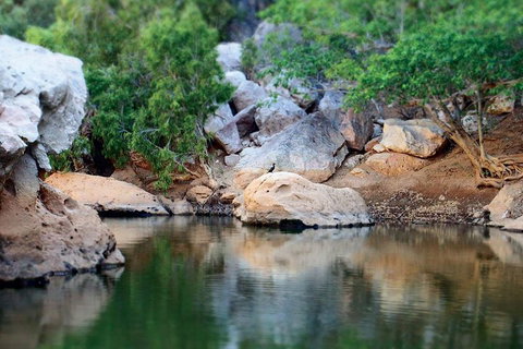 Windjana Gorge And Tunnel Creek 4WD Tour From Broome - Coogee Beach Accommodation 5