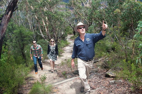 Small-Group Blue Mountains Tour With Bush Walks And Featherdale Wildlife Park - Coogee Beach Accommodation 0