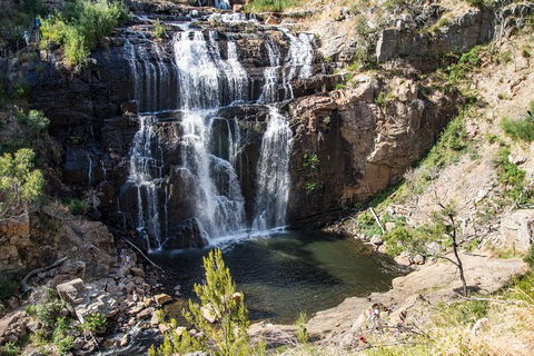Grampians National Park With Kangaroos And MacKenzie Falls From Melbourne - Coogee Beach Accommodation 1