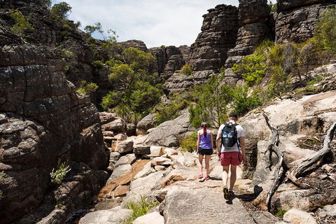 Grampians National Park With Kangaroos And MacKenzie Falls From Melbourne - Coogee Beach Accommodation 3