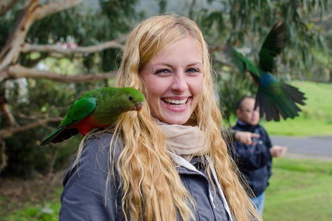 Great Ocean Road Reverse Itinerary With 12 Apostles From Melbourne - Coogee Beach Accommodation 0