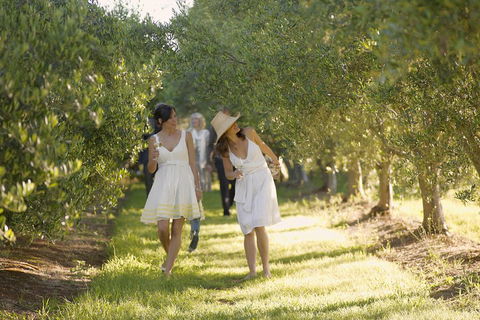 Yarra Valley Wine Tour With Local Harvest Tastings From Melbourne - Coogee Beach Accommodation 0
