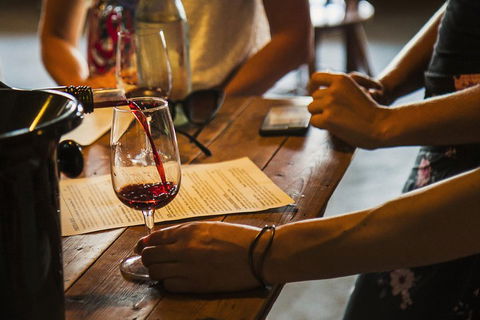 Yarra Valley Wine Tour With Local Harvest Tastings From Melbourne - Coogee Beach Accommodation 2