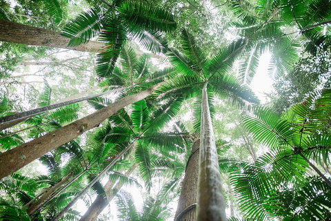 Fraser Explorer K'gari 2-Day Tour - Coogee Beach Accommodation 2