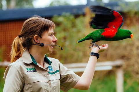 VIP Sanctuary Tour At Healesville Sanctuary Ticket - Coogee Beach Accommodation 0