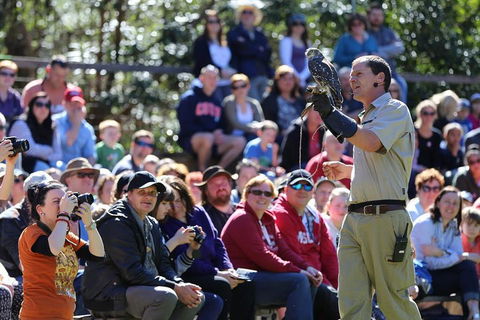 VIP Sanctuary Tour At Healesville Sanctuary Ticket - Coogee Beach Accommodation 4