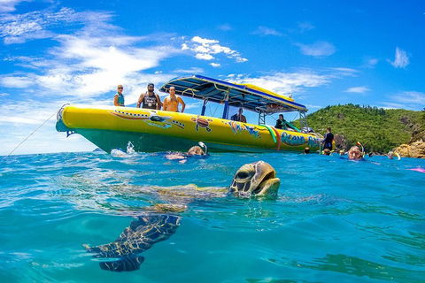 Great Barrier Reef Scenic Flight And Ocean Rafting Whitehaven Beach Day Trip - Coogee Beach Accommodation 1