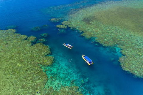 Great Barrier Reef Scenic Flight And Ocean Rafting Whitehaven Beach Day Trip - Coogee Beach Accommodation 4