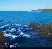 Julian Rocks Byron Bay Cruise - Coogee Beach Accommodation