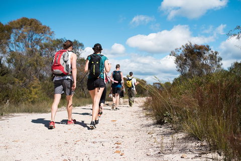 Pittwater Discovery Kayaking Tour - Coogee Beach Accommodation 0