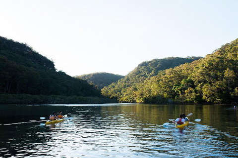 Pittwater Discovery Kayaking Tour - Coogee Beach Accommodation 1