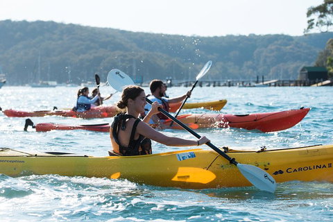 Pittwater Discovery Kayaking Tour - Coogee Beach Accommodation 2
