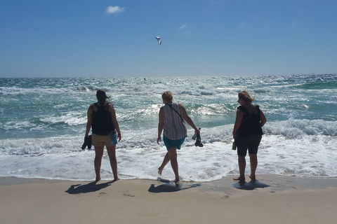 Very Best Of Perth Tour - Wildlife Park & City Highlights Tour - Coogee Beach Accommodation 5