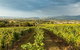 Yarra Valley Local Produce And Wine Tasting Tour - thumb 3