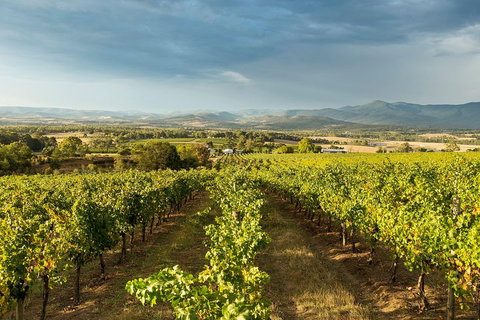 Yarra Valley Local Produce And Wine Tasting Tour - Coogee Beach Accommodation 3