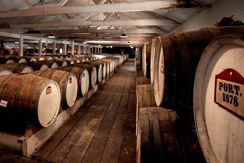 Seppeltsfield Taste Your Birth Year Experience - Coogee Beach Accommodation 4