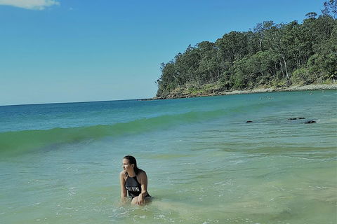 Noosa And Sunshine Coast Hinterland Day Trip From Brisbane - Coogee Beach Accommodation 4