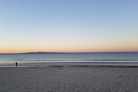 Noosa And Sunshine Coast Hinterland Day Trip From Brisbane - Coogee Beach Accommodation 5