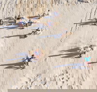 Unlimited Sandboarding - Coogee Beach Accommodation