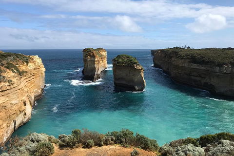 Great Ocean Road Reverse Itinerary Tour - Coogee Beach Accommodation 0