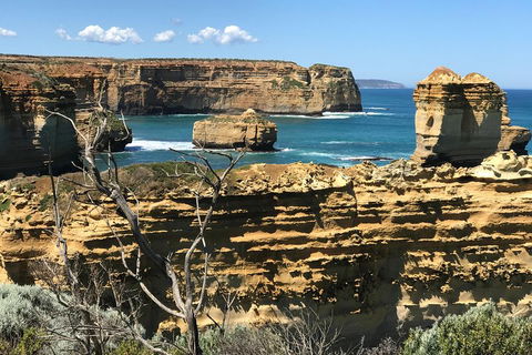 Great Ocean Road Reverse Itinerary Tour - Coogee Beach Accommodation 1