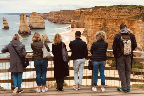 Great Ocean Road Reverse Itinerary Tour - Coogee Beach Accommodation 2