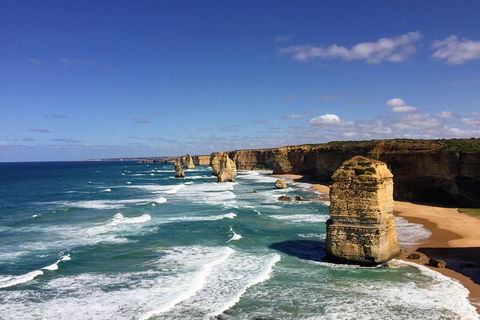 Great Ocean Road Reverse Itinerary Tour - Coogee Beach Accommodation 4