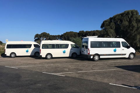 Great Ocean Road Reverse Itinerary Tour - Coogee Beach Accommodation 5
