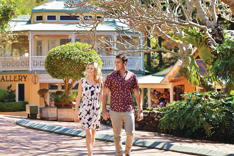 Sunshine Coast Hinterland Rainforest, Views And Montville Day Tour Inc. Lunch - Coogee Beach Accommodation 4