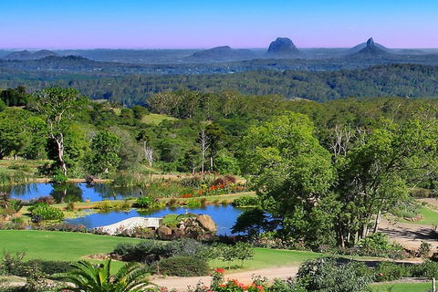 Sunshine Coast Hinterland Rainforest, Views And Montville Day Tour Inc. Lunch - Coogee Beach Accommodation 5