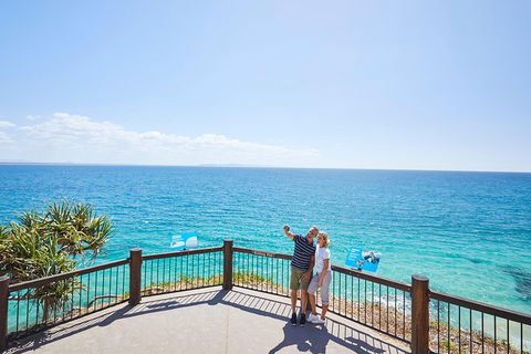 Noosa Everglades Serenity Cruise & Highlights Tour Inc. Lunch & Cruise - Coogee Beach Accommodation 3