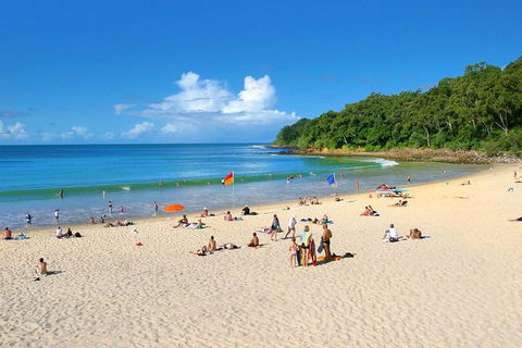 Noosa Everglades Serenity Cruise & Highlights Tour Inc. Lunch & Cruise - Coogee Beach Accommodation 4