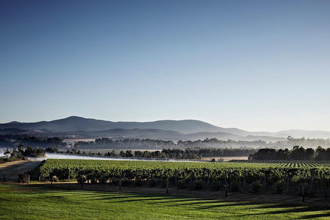 Chauffeur Driven Yarra Valley Group Wine Tour - Up To 7 - Coogee Beach Accommodation 2