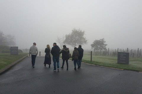Chauffeur Driven Yarra Valley Group Wine Tour - Up To 7 - Coogee Beach Accommodation 4