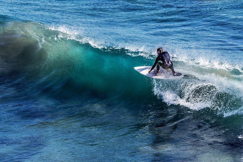 Great Ocean Road Highlights Tour - 2 Days, 1 Night - Coogee Beach Accommodation 0