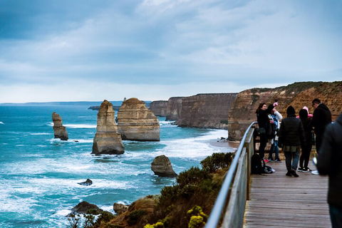 Great Ocean Road & Phillip Island - 3 Days, 2 Nights - Coogee Beach Accommodation 1