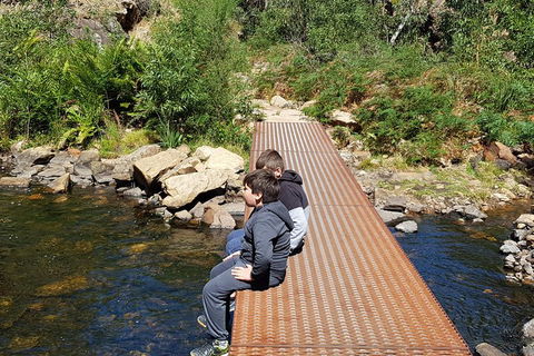 Grampians & Halls Gap - Coogee Beach Accommodation 2