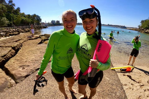 Manly Snorkel Trip And Nature Walk With Local Guide - Coogee Beach Accommodation 1