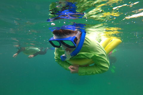 Manly Snorkel Trip And Nature Walk With Local Guide - Coogee Beach Accommodation 5
