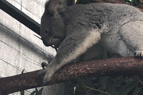 Perth Hills - Wildlife, Art & Gastronomy - Coogee Beach Accommodation 3