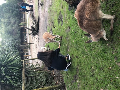 Perth Hills - Wildlife, Art & Gastronomy - Coogee Beach Accommodation 4